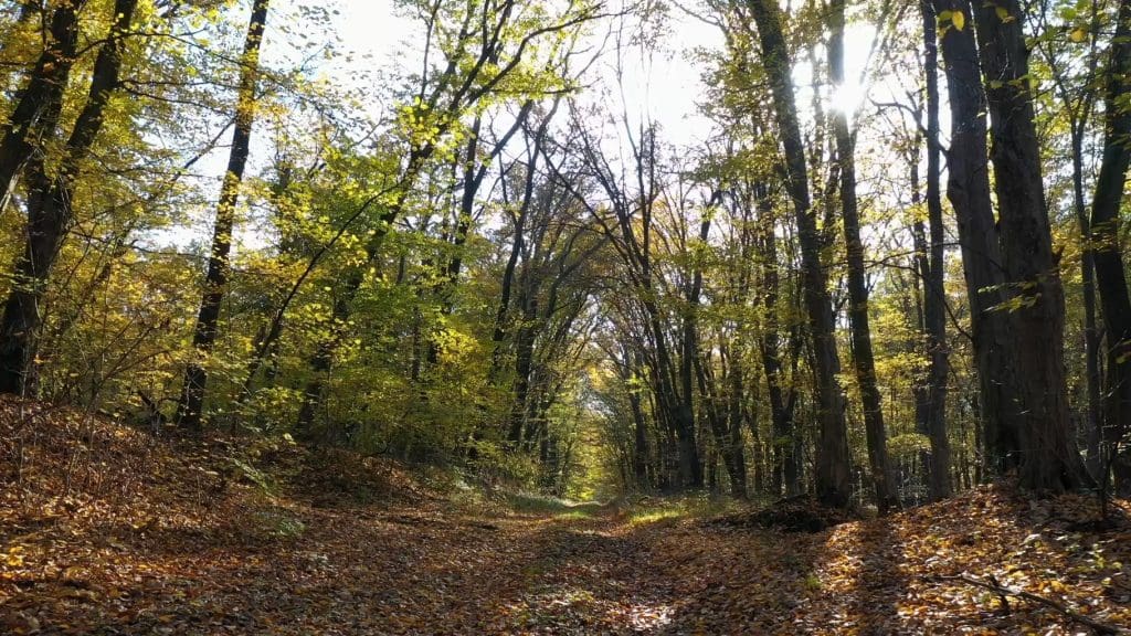 Ośrodek dobrze.eu - zdjęcie 5